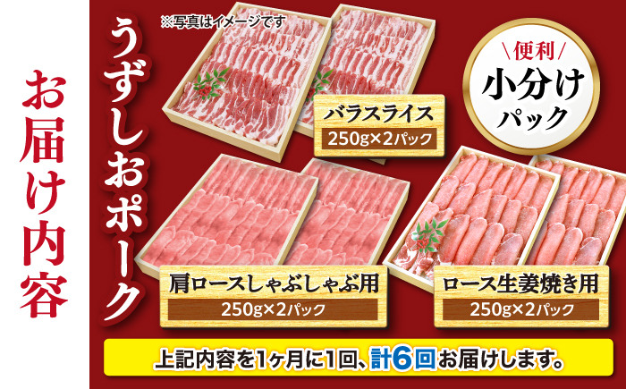 【訳あり】【6回定期便】長崎うずしおポーク 大人気3種 セット 国産豚 ＜スーパーウエスト＞ [CAG220]