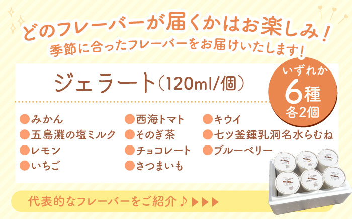 【年中人気】【3回定期便】 おまかせジェラート 12個 ＜みかんドーム＞ [CAI034]