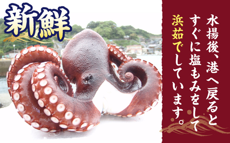 【コリコリ肉厚の天然タコ！】ゑべす蛸 計1.2kg（150g×8P）＜大瀬戸町漁協＞ [CAR004]