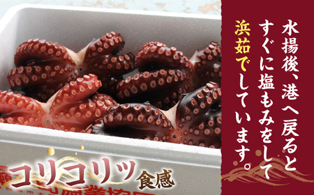 【ボイル済みの天然タコ！】ゑべす蛸3匹（計2kg）＜大瀬戸町漁協＞ [CAR008]