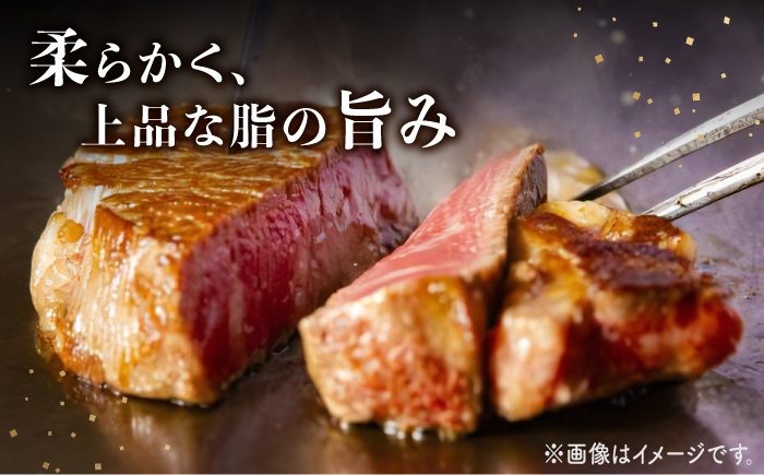 長崎和牛 ヒレ ステーキ 約900g（6枚）＜株式会社黒牛＞ [CBA003]