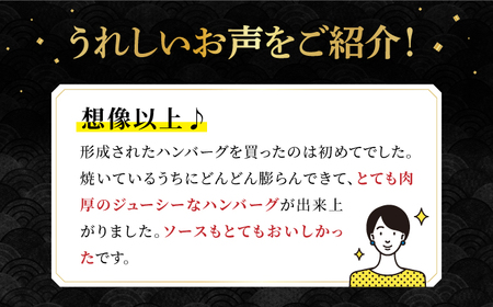 【溢れ出る肉汁】長崎和牛 ハンバーグ 50個＜株式会社黒牛＞ [CBA033]
