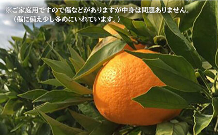 【ご家庭用】 はれひめ 約4kg（サイズ混合）＜広津農園＞ [CBN003] 長崎 西海 みかん ミカン 蜜柑 オレンジ