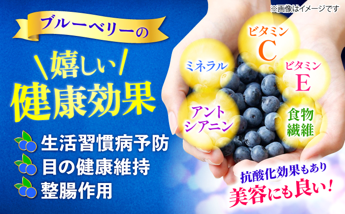 【2026年6月中旬より順次発送】【栽培期間中 農薬不使用】完熟 ブルーベリー 計2kg＜広津農園＞ [CBN009]  ブルーベリー ぶるーべりー 果物 フルーツ 生ブルーベリー