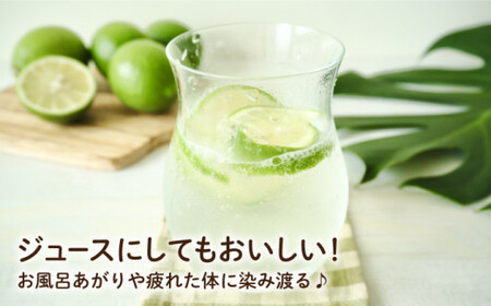 【TVで話題！】【☆先行予約☆】青切りシークワーサー2kg（110～150個）＜広津農園＞ [CBN011]