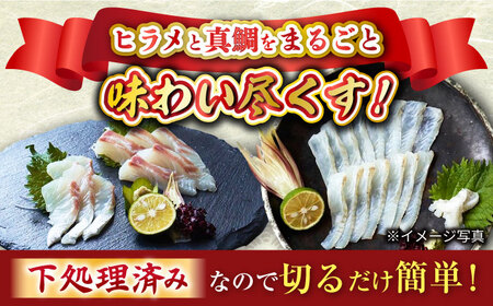 【切るだけで簡単！】 ヒラメ ＆ 真鯛 堪能セット＜大島水産種苗＞[CBW004] 魚 ブロック 魚介類