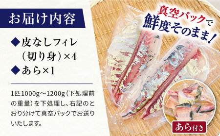 【土日お届け】 シマアジ 堪能5点セット＜大島水産種苗＞ [CBW006] 魚 ブロック