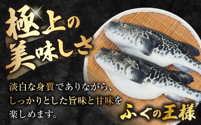 【数量限定】ふぐてっさ・てっちり鍋セット2人前 ＜大島水産種苗＞ [CBW017]