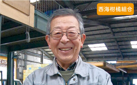 【訳あり】西海1号 温州 みかん 約5kg（優品/Mサイズ）＜西海柑橘農業協同組合＞ [CCF003]