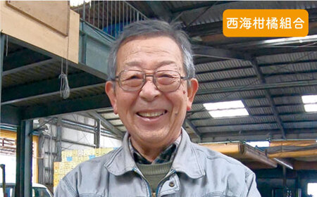 【先行予約☆限定20箱】西海1号 温州 みかん 約5kg（秀品/Mサイズ）＜西海柑橘農業協同組合＞ [CCF005]