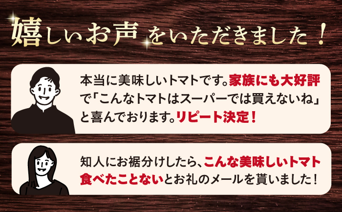 【2026年収穫分先行予約】 糖度8度以上！大島 トマト 約3kg＜大島造船所農産G＞ [CCK005]