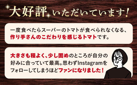 【2026年2月より配送開始】糖度8度以上の果実！大島 トマト 計9kg（約3kg×3回定期便）＜大島造船所農産G＞ [CCK006]