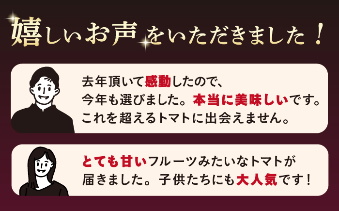 【2026年収穫分先行予約】【糖度9度以上！】 大島 トマト 特選「ルビーのしずく」約1.2kg＜大島造船所 農産グループ＞ [CCK016]