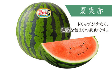 【どれが届くかな？】面高すいか約6kg×2玉＜太田幸男＞ [CCN002]