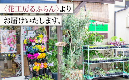 【6回定期便】【記念日にはバラを送ろう】バラの花束（濃いピンク）＜花工房るふらん＞ [CCR024]