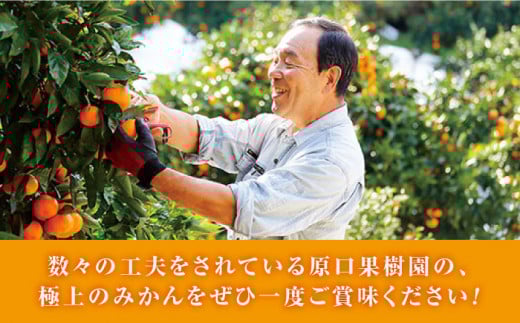 『元祖！』原口みかん 5kg＜原口果樹園＞ [CCW001]