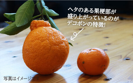 【☆先行予約☆】糖度13～15度！ハウス木成完熟デコポン（不知火）約3kg＜原口果樹園＞ [CCW005] みかん