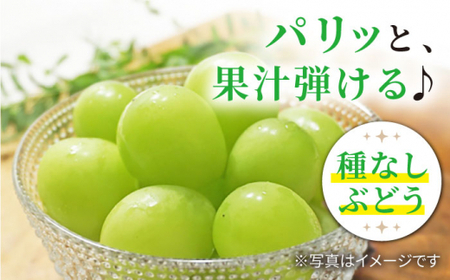 【数量限定】 【訳あり】 【糖度18以上！】シャインマスカット「西海シャイン物語」約2kg（5～6房）＜最強の兼業農家山田さん＞ [CCX006]