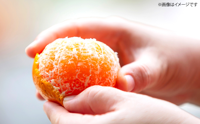 みかん【年内配送】【訳あり】 原口みかん 約 5kg（S～Mサイズ混合） ＜山口果樹園＞ [CCX009] みかん ミカン 蜜柑 柑橘 みかん 温州みかん 訳あり 傷 みかん 産地直送 フルーツ 果実 果物 傷あり 不揃い あまい ビタミン 旬