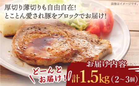 【肉塊で肉会】大西海SPF豚 背ロースブロック 計1.3kg（2～3個） 訳あり ＜大西海ファーム＞ [CCY027] 豚肉