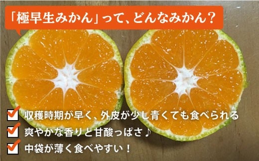 【10月より順次発送】極早生みかん（岩崎・上野）５kg＜Da・IWASAKI FARM＞[CCZ001]