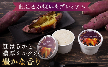 【こだわりの芋スイーツ】 紅はるか プレミアム ジェラート アソート6個セット＜大地のいのち＞ [CDA061]