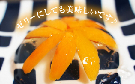 【数量限定】 西海市産 びわ （長崎早生） 約1.5kg ＜谷添正義＞ [CDM003]