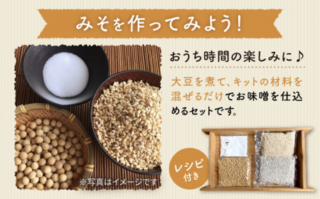 【手作りキット】栽培期間中農薬不使用玄米麹で仕込む『玄米合わせ味噌』＜川添酢造＞ [CDN050]