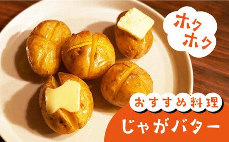 【先行予約】【2026年5月下旬より順次発送】 西海市産 じゃがいも 約10kg ＜ファームまるだ＞ [CDT002]