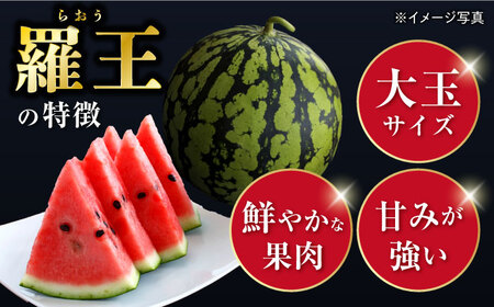 【先行予約：2026年7月上旬より配送】 スイカ 羅王 1玉（約6kg～7kg）＜ファームまるだ＞ [CDT007] 長崎 西海 スイカ すいか 羅王 大玉 贈答 ギフト 夏