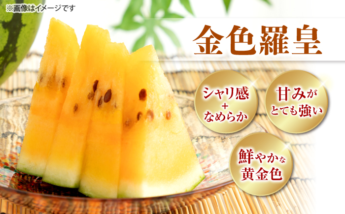 【先行予約：2026年7月上旬より配送】【食べ比べ】 金色羅皇＆羅皇ザ・スウィート（計2玉） ＜ファームまるだ＞ [CDT008]