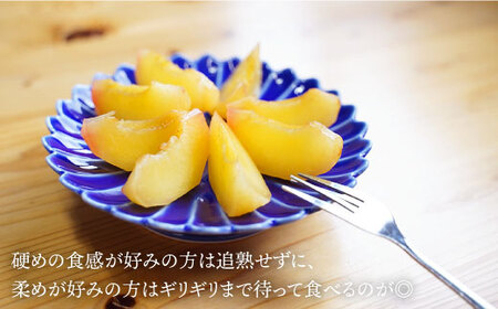 【プラムの王様】 貴陽 （きよう）計1kg（5～6玉）＜竹嶋農園＞ [CEB001] もも
