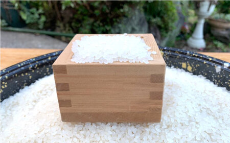 【令和7年産 新米】 白米 （ なつほのか or ヒノヒカリ ） 計10kg （5kg×2袋）＜夢農園 モリピー＞ [CEJ002]