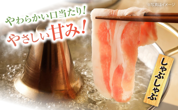 【大満足】大西海 SPF豚 肩ロース（焼肉＆しゃぶしゃぶ用）計1.2kg 訳あり ＜大西海ファーム＞ [CEK034] 豚肉