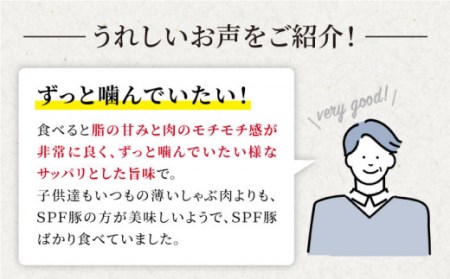 大西海SPF豚 肩ロース（しゃぶしゃぶ用）計1.2kg（約600g×2パック） 訳あり ＜大西海ファーム＞ [CEK036] 豚肉