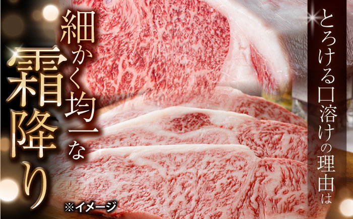 【訳あり】【6回定期便】 長崎和牛 サーロイン ステーキ 約500g（2枚） 【大西海ファーム食肉加工センター】 [CEK180]