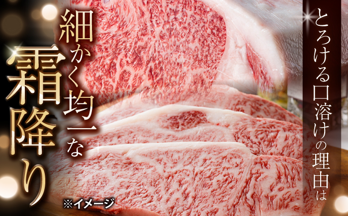 長崎和牛 サーロイン ステーキ 計600g（3枚）＜大西海ファーム食肉加工センター＞ [CEK191]