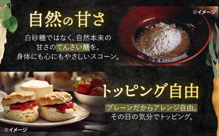 【素朴ながらも奥深い味わい】 プレーンスコーン 12個入り [CEM009]