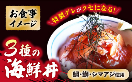 【数量限定】【おうちで手軽に♪】海鮮詰め合わせ2種類～4人前～＜小安丸＞ [CEU007]