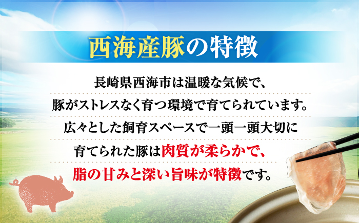 【3回定期便】【使い勝手抜群】 国産豚 切り落とし 計3kg（約1kg×3回） ＜宮本畜産＞ [CFA011]