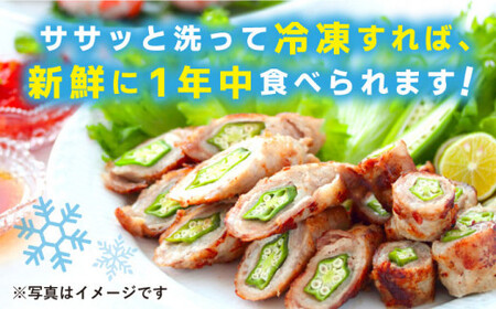 【先行予約】朝採れ オクラ 約1kg ＜パッパラパー農園＞ [CFI001]