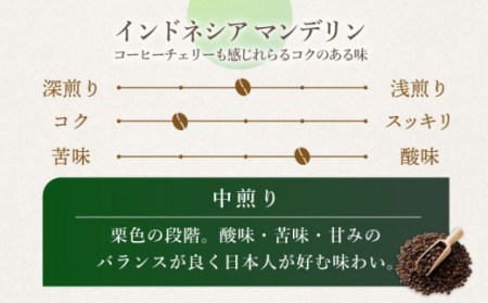【豆タイプ】 【3回定期便】【一番人気♪】中煎り インドネシア マンデリン 自家焙煎コーヒー 5袋 ＜giko coffee＞ [CFK017]