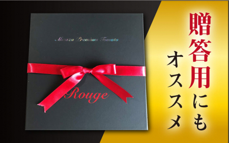 【2月上旬より順次発送】ミスズプレミアム トマト 「ルージュ」約1kg（9個）＜株式会社ミスズアグリ西海＞ [CFN001]