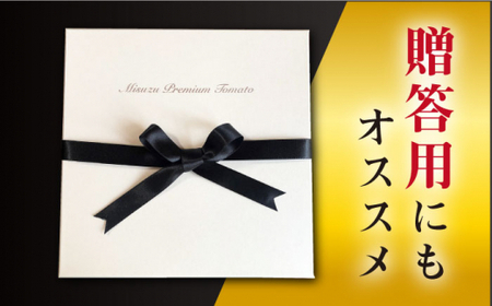【2月上旬より順次発送】ミスズプレミアム トマト 約1kg（9個） ＜株式会社ミスズアグリ西海＞ [CFN002]