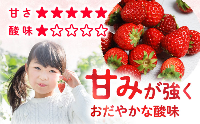 【1月より順次発送】西海市産 いちご「かおりの」計1kg（250g×4パック）＜武藤農園＞ [CFV001]