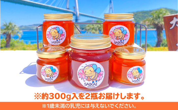 【希少な日本ミツバチ】 国産 蜂蜜 約600g（約200g×3瓶） ～西海からの贈り物～＜おばま養蜂農園＞ [CFY002]  長崎 西海 蜂蜜 はちみつ ハチミツ 蜂蜜 はちみつ ハチミツ 国産蜂蜜 贈答 ギフト