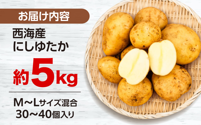 勝田農園の満々じゃがいも にしゆたか 約5kg（M～Lサイズ混合）＜勝田農園＞ [CGM001]