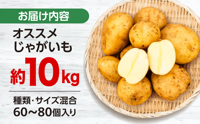 勝田農園のおまかせじゃがいも約10kg（種類・サイズ混合）＜勝田農園＞ [CGM004]