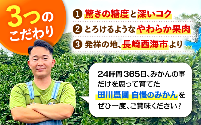 【数量限定】 原口みかん 約5kg（傷み保証分200g含む）＜田川農園＞ [CGR001]