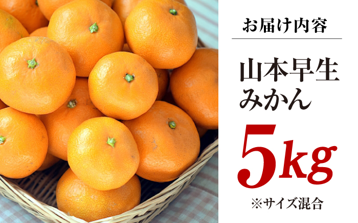 【11月中旬より配送開始】 山本早生 みかん 約5kg（S,Mサイズ混合）＜濱崎ファーム＞ [CGT001]